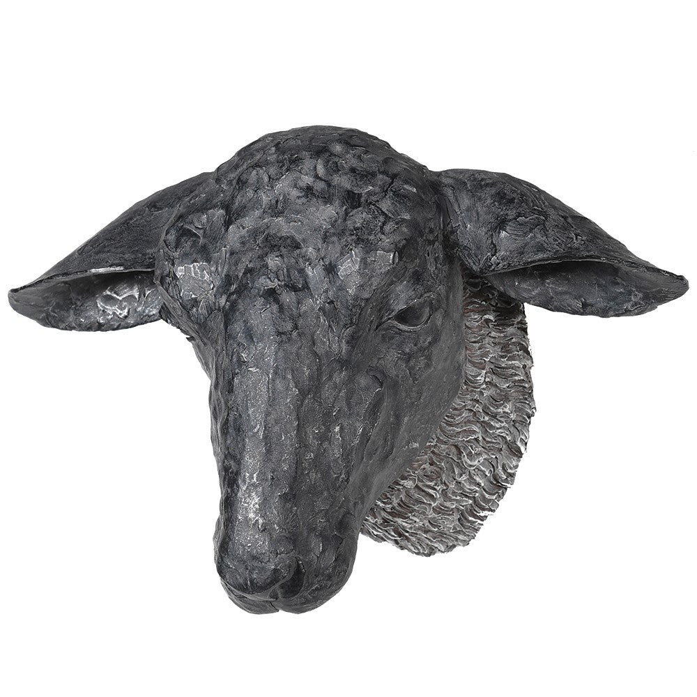 Black Sheep Head Wall Mount