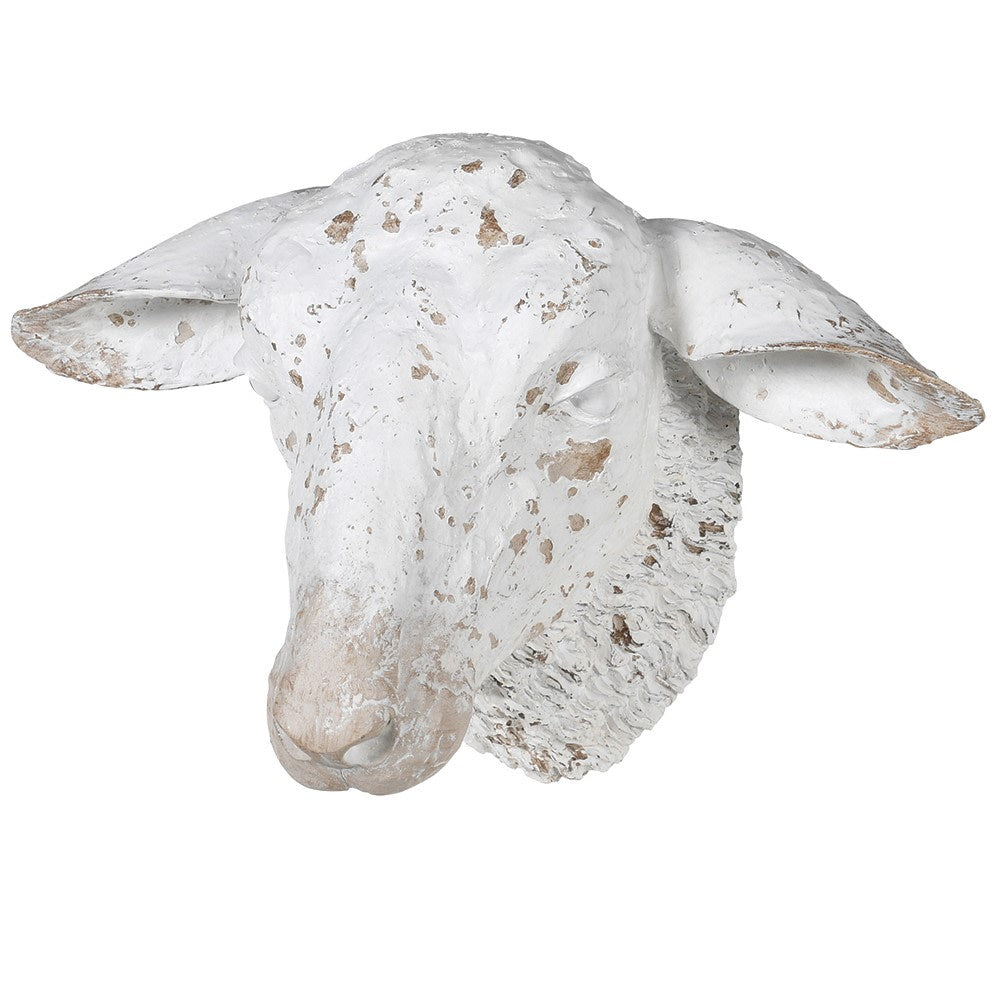 White Sheep Head Wall Mount