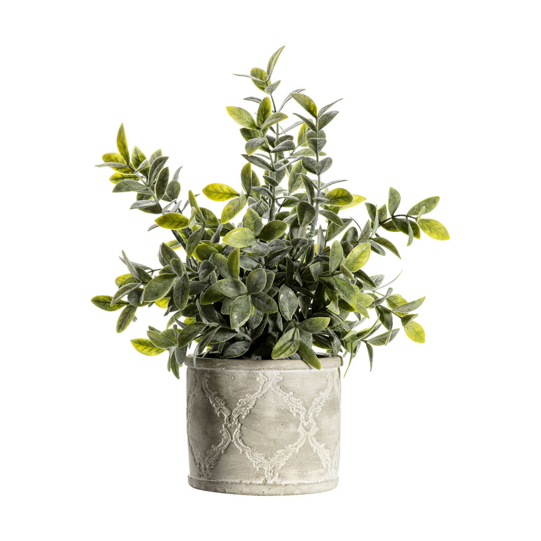 Dusky Green Plant With Patterned Pot