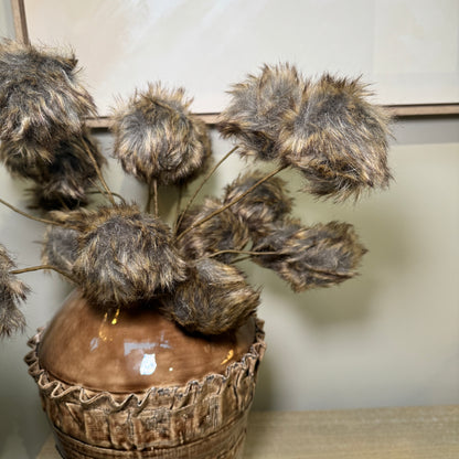 Brown Clematis Stem