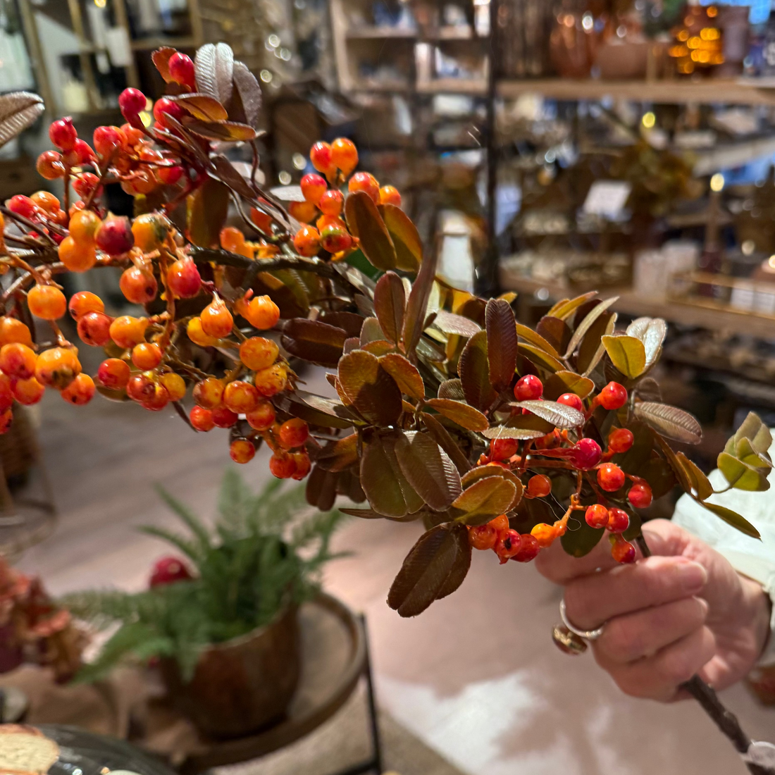 Autumnal Berry Sprig