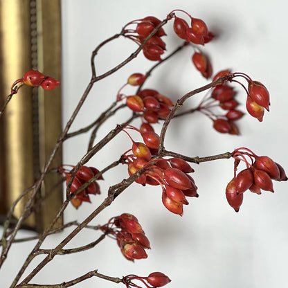 Rosehip Berries Spray