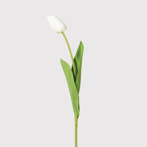 White Tulip Bud Spray with Leaves