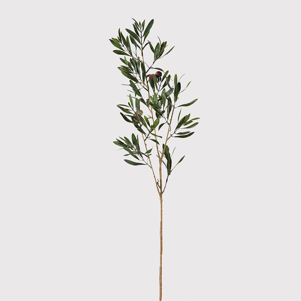 Olive Branch Stem