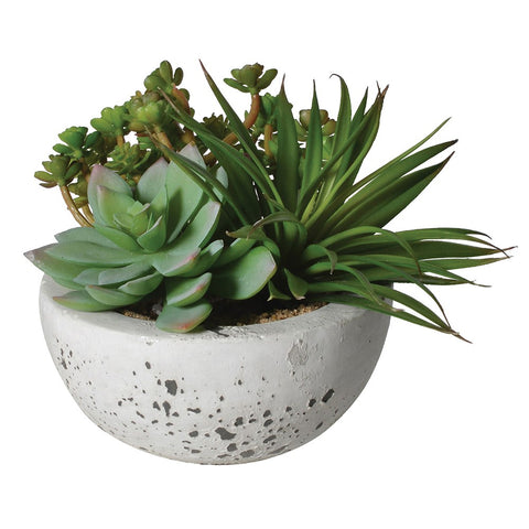 Assorted Green Succulents Arrangement in Grey Cement Bowl