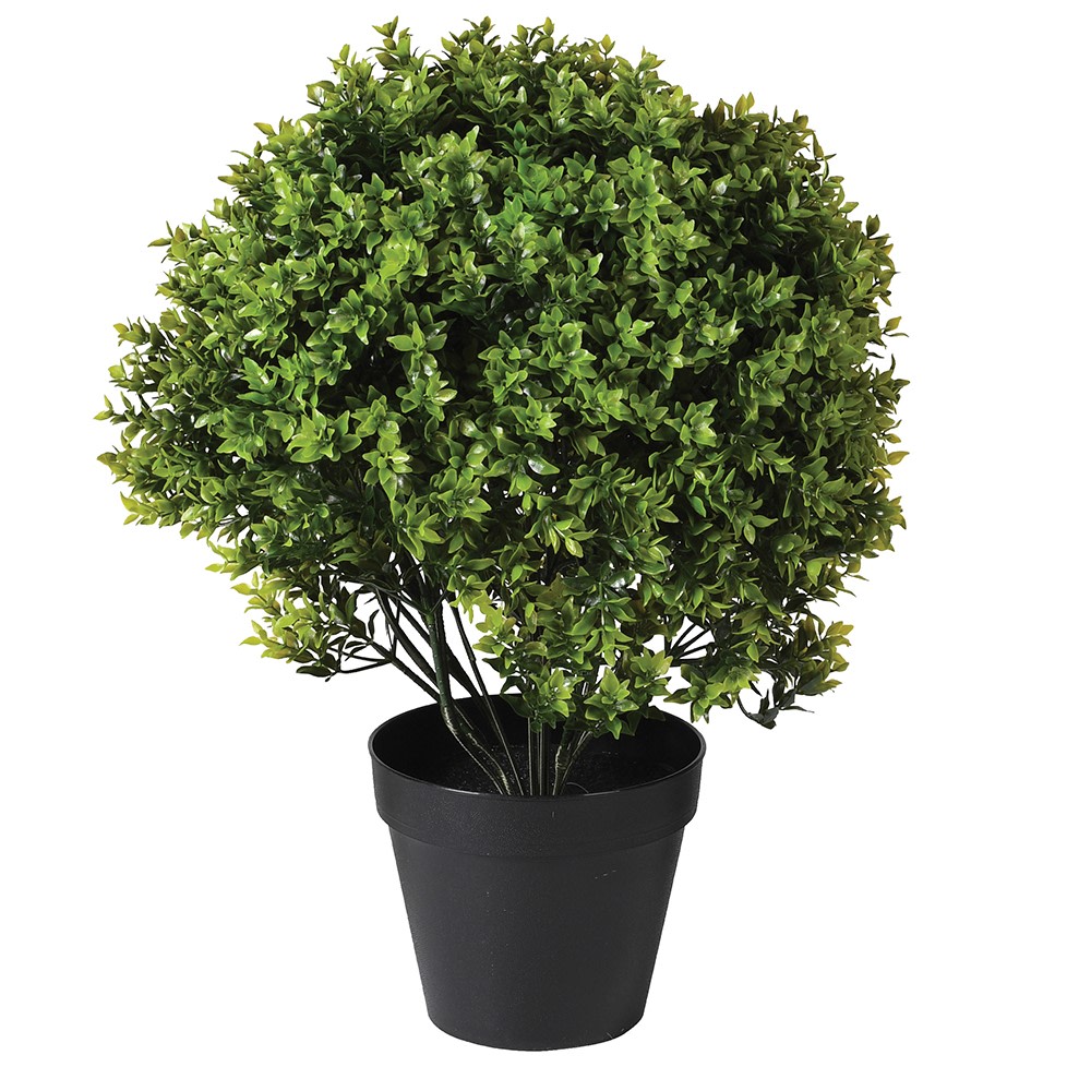 Outdoor Herb Topiary in Black Pot