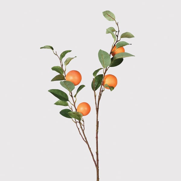 Orange Branch with Leaves