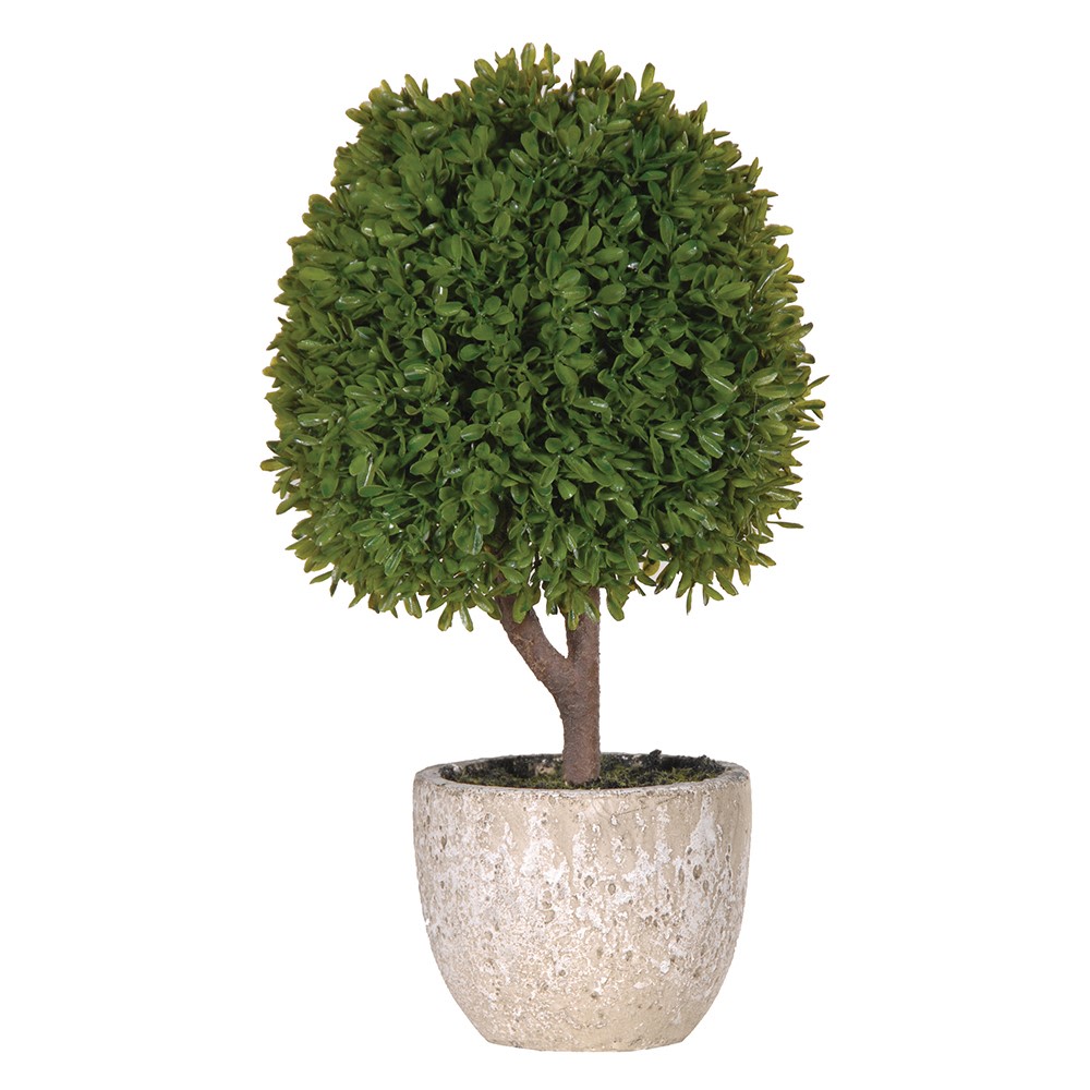 Green Miniature Boxwood Ball in Stone-look Pot