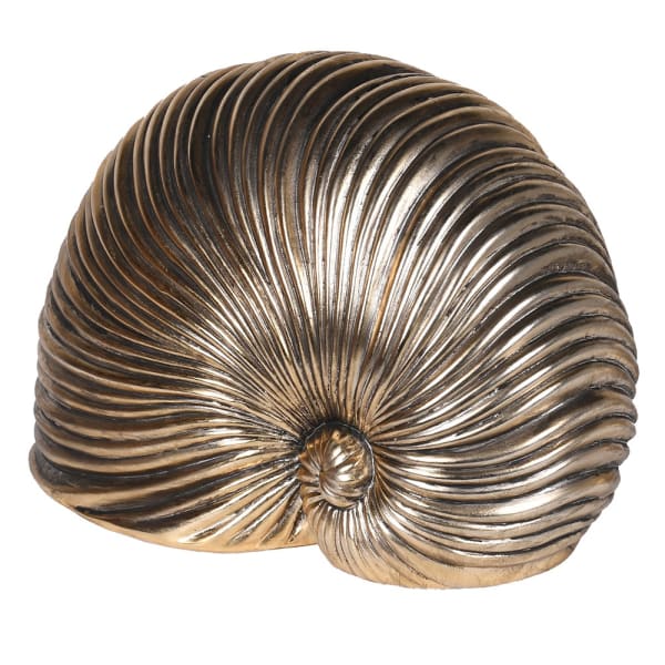 Gold Sea Snail Decoration