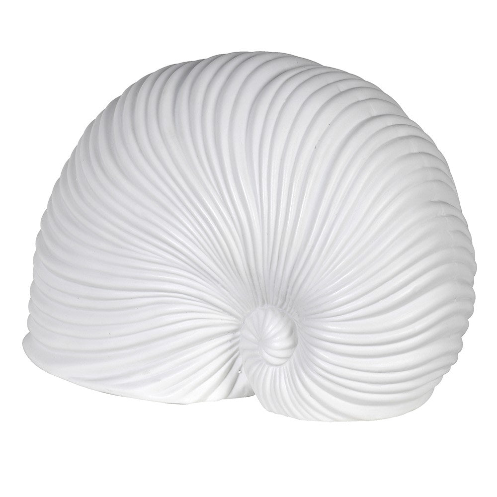 White Sea Snail Decoration