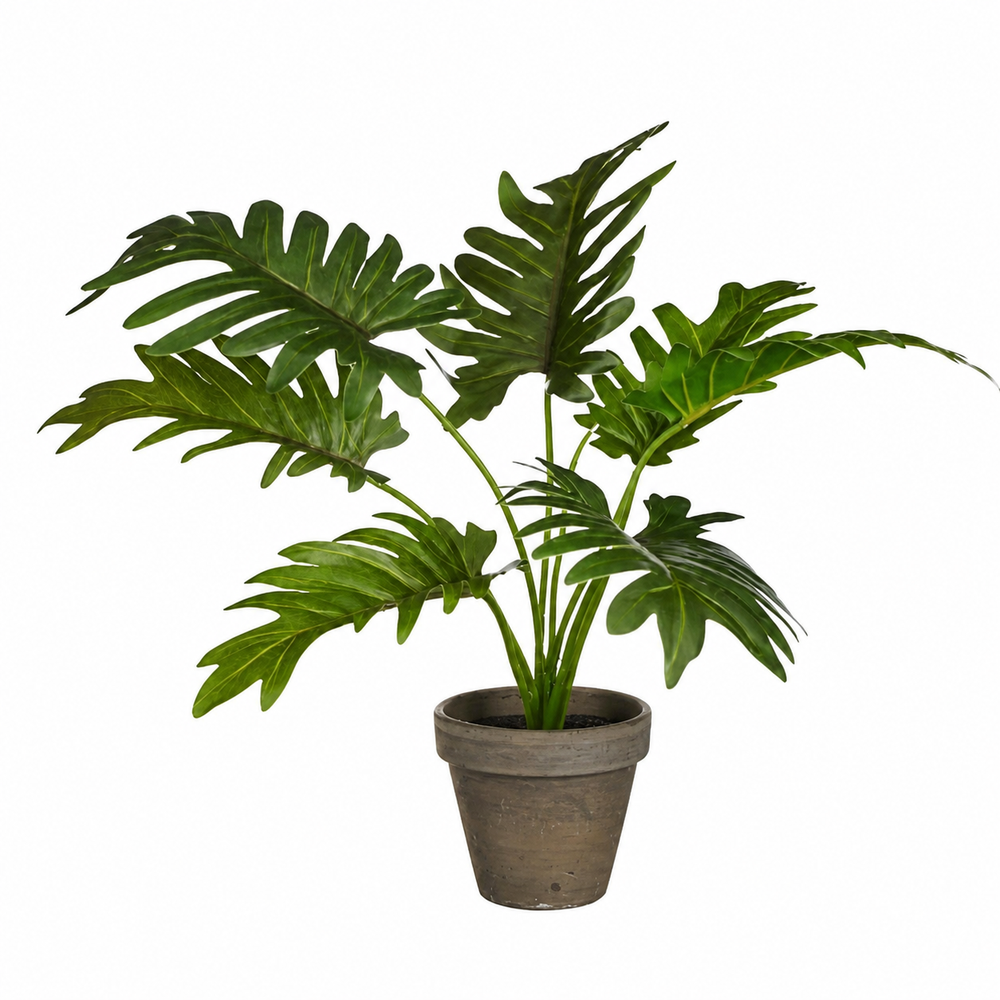 Split Leaf Artifical Philodendron in Pot - H30 x Ø27cm