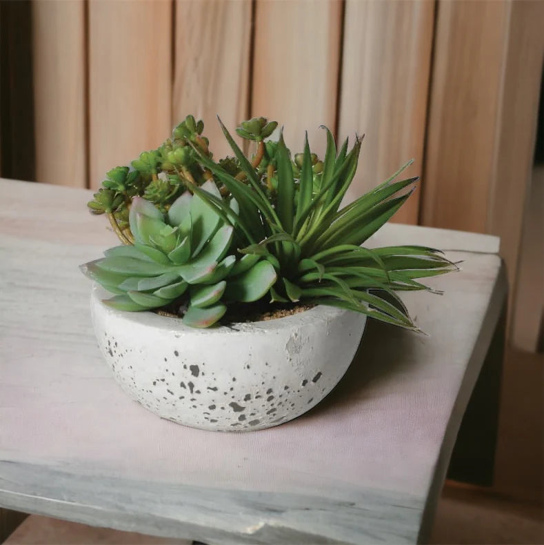 Assorted Green Succulents Arrangement in Grey Cement Bowl