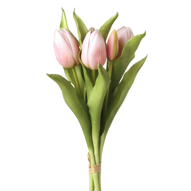 MIX COLOUR TULIPS