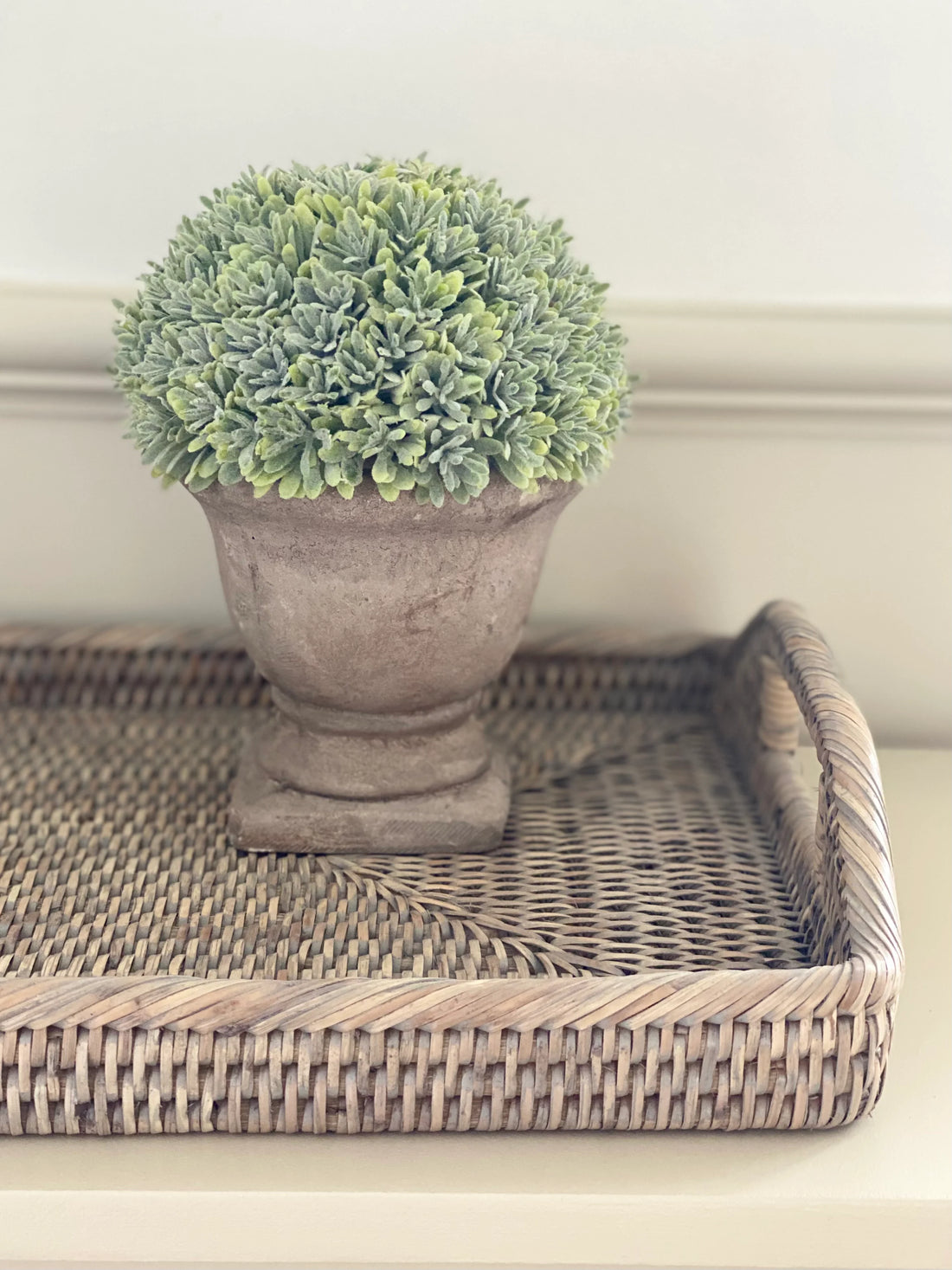 Boxwood With Stone Effect Urn